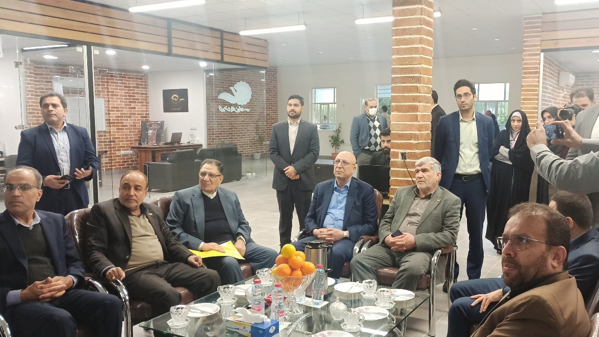 بازدید