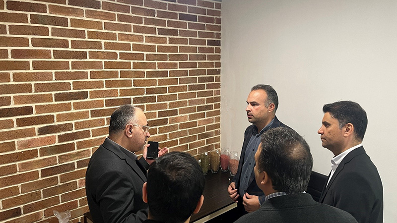 بازدید